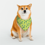 Pet Dog Bandana