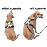 Dog Harness