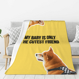 Ultra-Soft Thick Micro Fleece Blanket