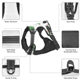 Dog Harness