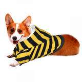 Small Pet Dog Hoodie